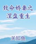 致命宠妻免费阅读