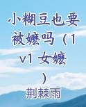 小糊豆推荐