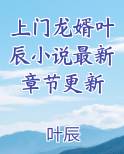 上门龙婿叶辰最新章节笔趣阁
