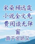 宋染顾远霆小说全文免费阅读无弹窗下载