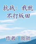 抗战：我就不打坂田电子书