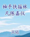 袖手扶摇林凡陈嘉仪小说全文免费阅读