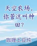 天空农场，你管这叫种田？免费听书