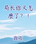 局长忙吗