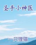圣手小神医