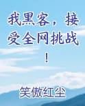 我黑客，接受全网挑战！全文阅读
